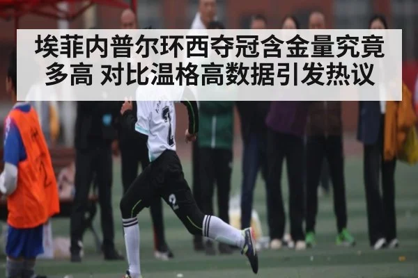 埃菲内普尔环西夺冠含金量究竟多高 对比温格高数据引发热议（Kaiyun Sports）